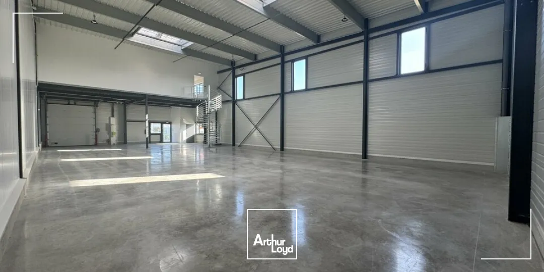 Locaux d'activité & Entrepôts - Location - JOUE LES TOURS - 37300 - 1119-1119 - 7641639