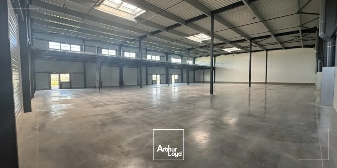 Locaux d'activité & Entrepôts - Location - JOUE LES TOURS - 37300 - 1119-1119 - 7641640