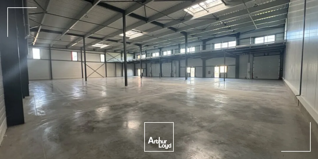 Locaux d'activité & Entrepôts - Location - JOUE LES TOURS - 37300 - 1119-1119 - 7641641