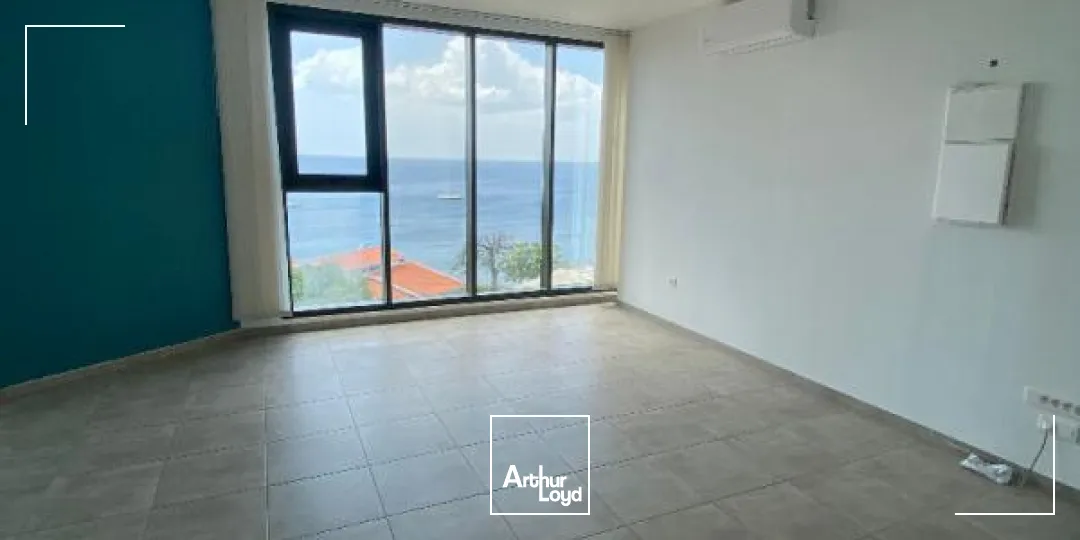 Bureaux - Location - Schoelcher - 97233 - 40-40 - 7647484