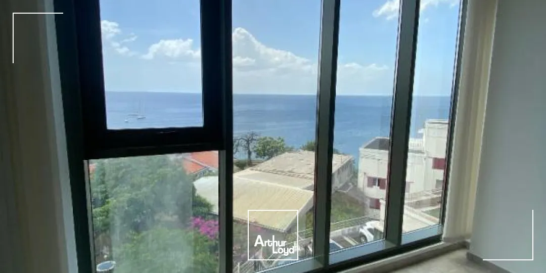 Bureaux - Location - Schoelcher - 97233 - 40-40 - 7647482