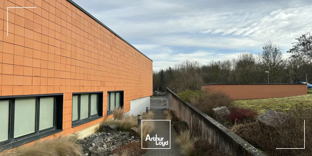 Bureaux - Location - MULHOUSE - 68200 - 25.12-124.42 - 7652010