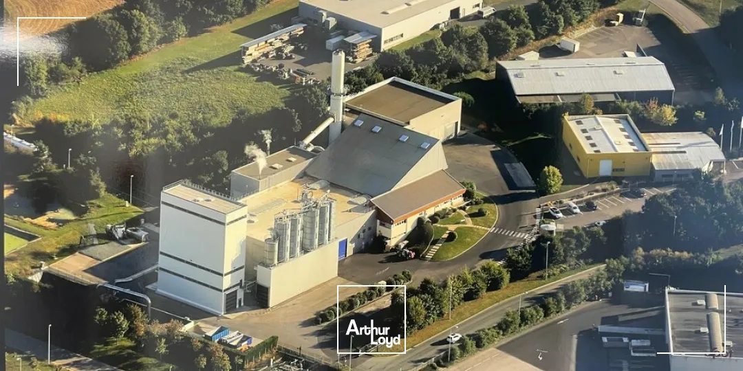 Locaux d'activité & Entrepôts - Vente - ESSARTS-EN-BOCAGE - 85140 - 5450-5450 - 7652041