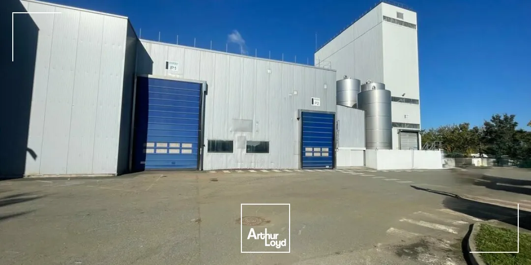 Locaux d'activité & Entrepôts - Vente - ESSARTS-EN-BOCAGE - 85140 - 3260-3260 - 7652052