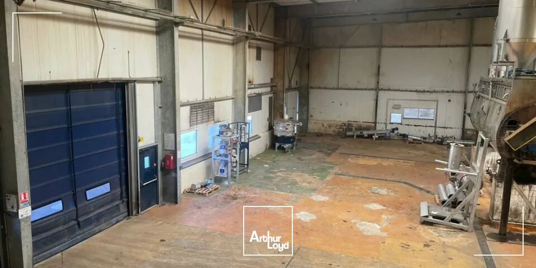 Locaux d'activité & Entrepôts - Vente - ESSARTS-EN-BOCAGE - 85140 - 3260-3260 - 7652049