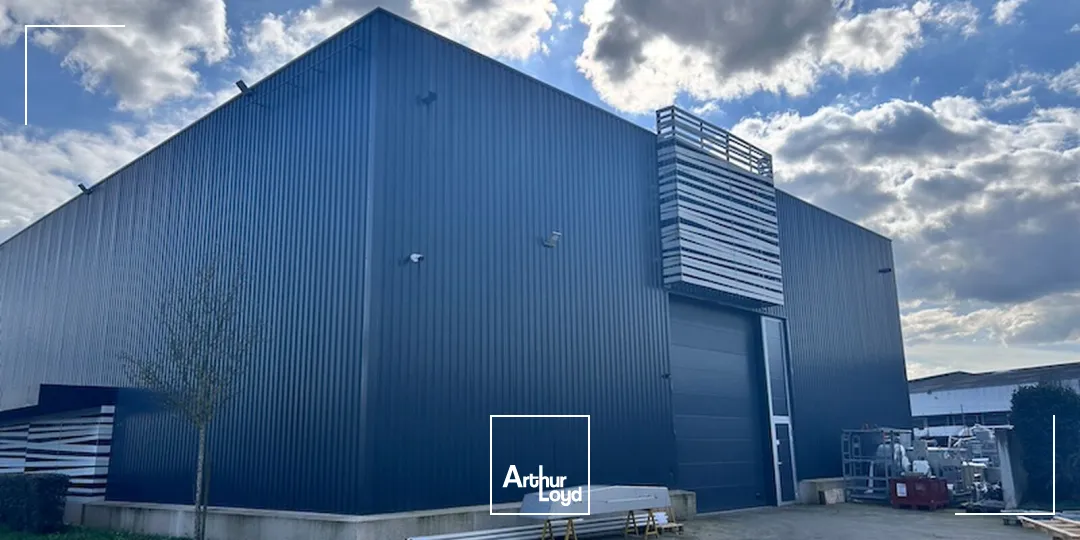 Locaux d'activité & Entrepôts - Location - CERTINES - 01240 - 905-905 - 7652289