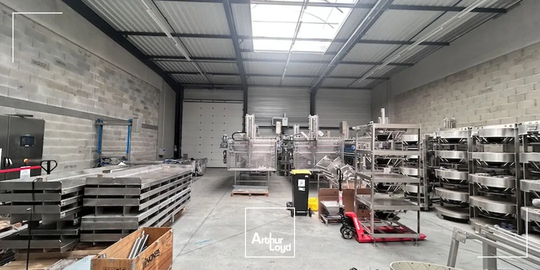 Locaux d'activité & Entrepôts - Location - CERTINES - 01240 - 522-522 - 7652292