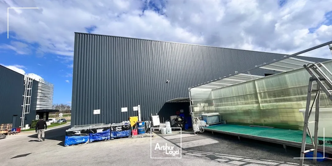 Locaux d'activité & Entrepôts - Location - CERTINES - 01240 - 522-522 - 7652304