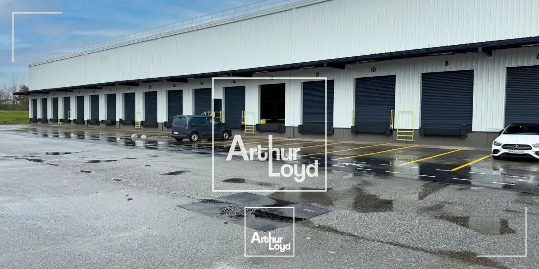 Locaux d'activité & Entrepôts - Location - BRUGUIERES - 31150 - 4773-4773 - 7652599