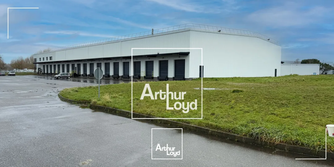 Locaux d'activité & Entrepôts - Location - BRUGUIERES - 31150 - 4773-4773 - 7652597