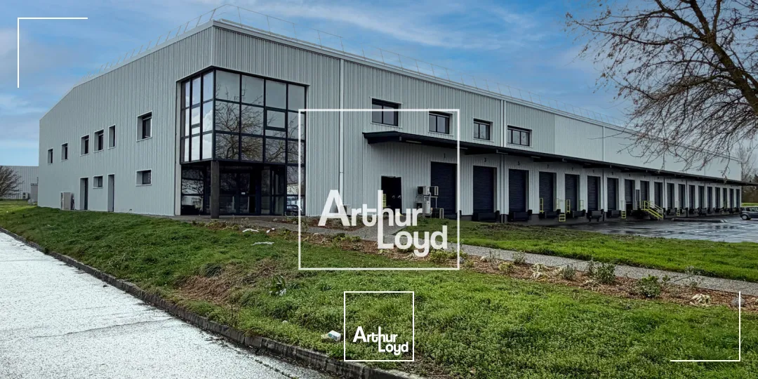 Locaux d'activité & Entrepôts - Location - BRUGUIERES - 31150 - 4773-4773 - 7652596