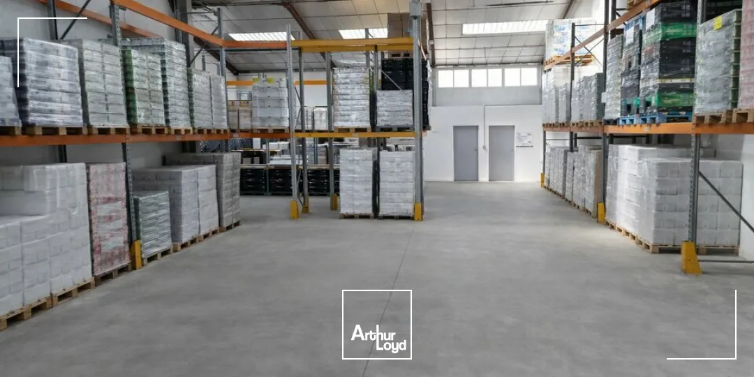 Locaux d'activité & Entrepôts - Location - NIORT - 79000 - 1010-1010 - 7652839