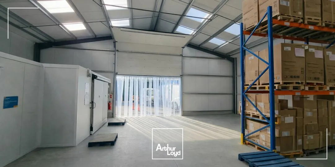 Locaux d'activité & Entrepôts - Location - NIORT - 79000 - 1010-1010 - 7652838