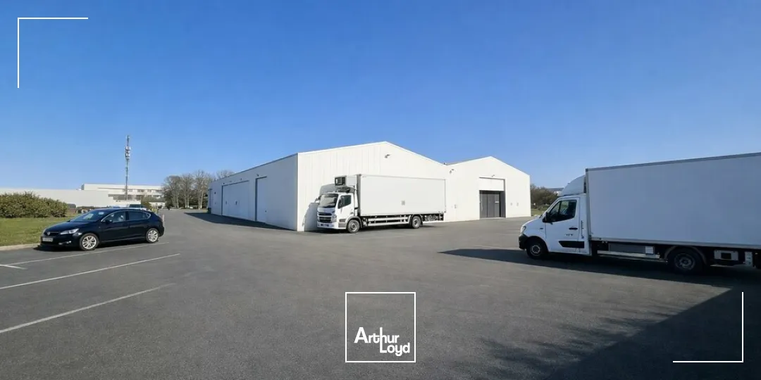 Locaux d'activité & Entrepôts - Location - NIORT - 79000 - 1010-1010 - 7652835