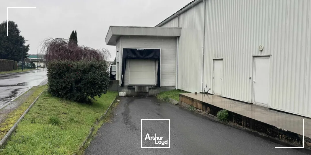 Locaux d'activité & Entrepôts - Vente - ANGOULEME - 16000 - 1000-1000 - 7653104