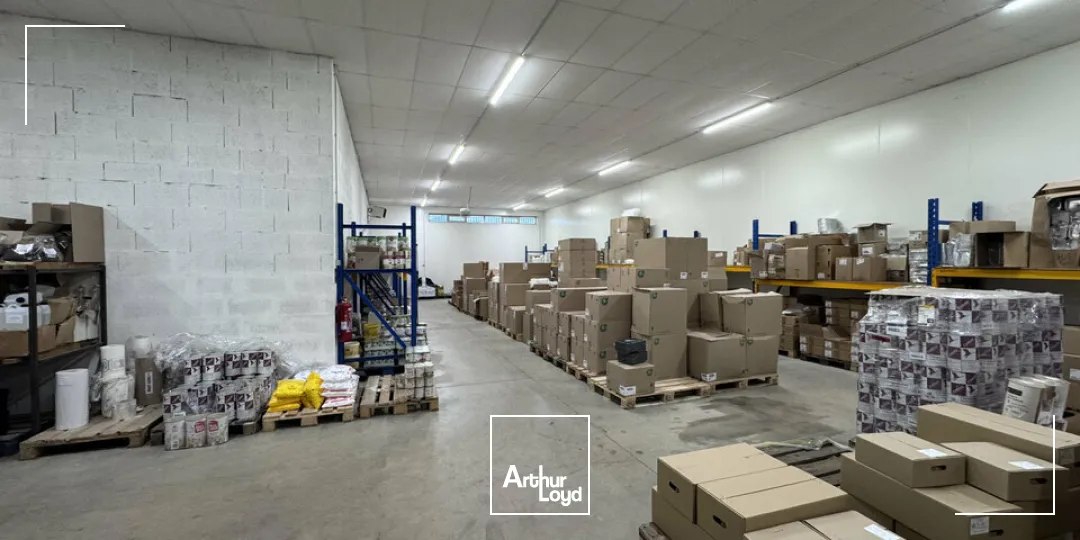 Locaux d'activité & Entrepôts - Vente - ANGOULEME - 16000 - 1000-1000 - 7653105