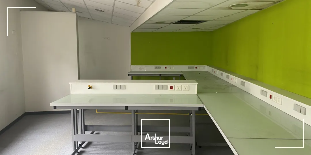 Bureaux - Vente - LILLE - 59000 - 526.6-526.6 - 7654033