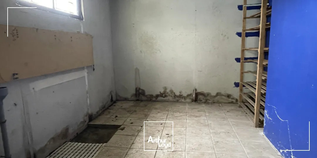 Locaux d'activité & Entrepôts - Location - SAINT AUBIN SUR SCIE - 76550 - 262-262 - 7654585