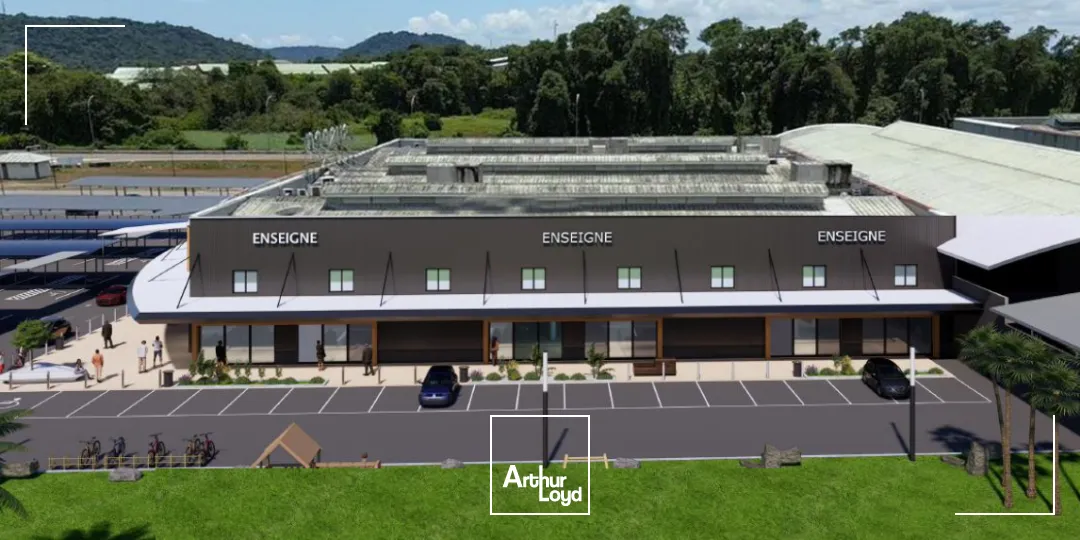 Locaux commerciaux - Location - Cayenne - 97300 - 800-800 - 7655097