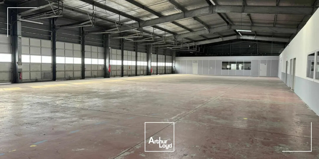 Locaux d'activité & Entrepôts - Location - AVIGNON - 84000 - 1685-1685 - 7655166