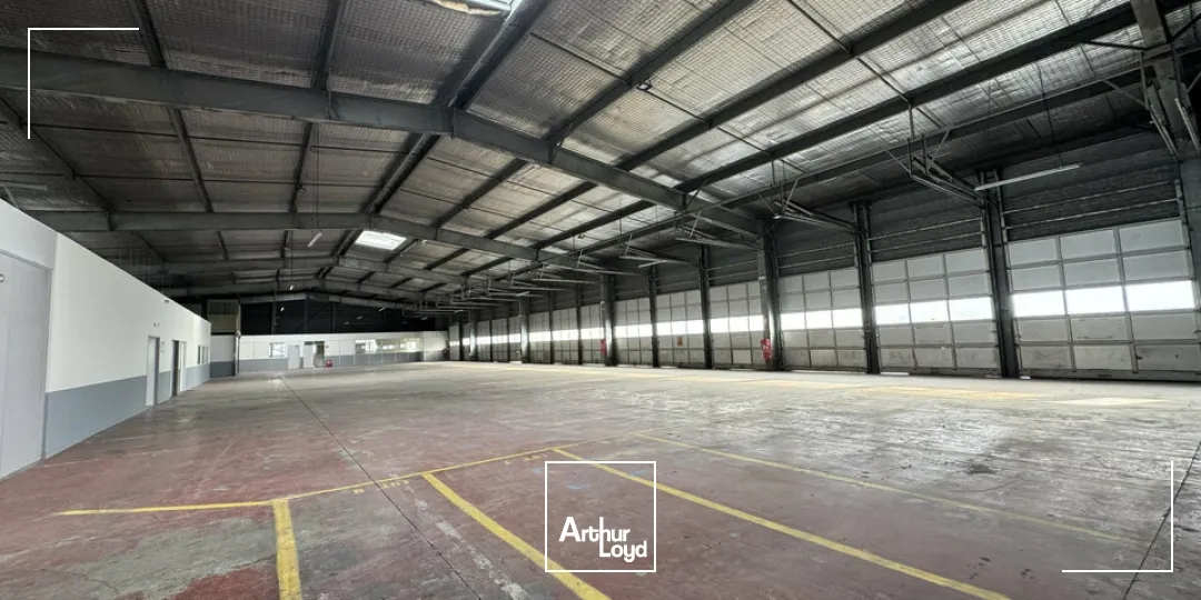 Locaux d'activité & Entrepôts - Location - AVIGNON - 84000 - 1685-1685 - 7655167