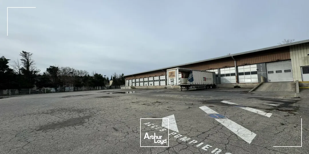 Locaux d'activité & Entrepôts - Location - AVIGNON - 84000 - 1685-1685 - 7655164