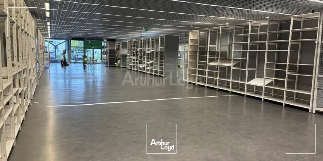 Locaux commerciaux - Location - OSTWALD - 67540 - 736-736 - 7655217