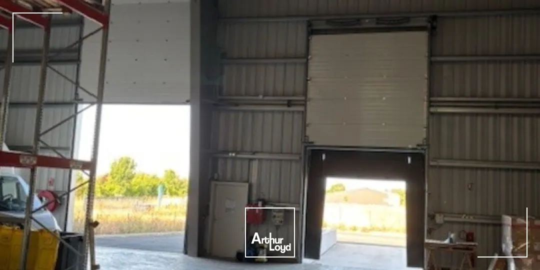 Locaux d'activité & Entrepôts - Vente - SAINTE SOULLE - 17220 - 6543.8-6543.8 - 7655999