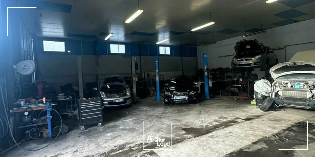 Locaux d'activité & Entrepôts - Location - BRIVE-LA-GAILLARDE - 19100 - 250-250 - 7658317