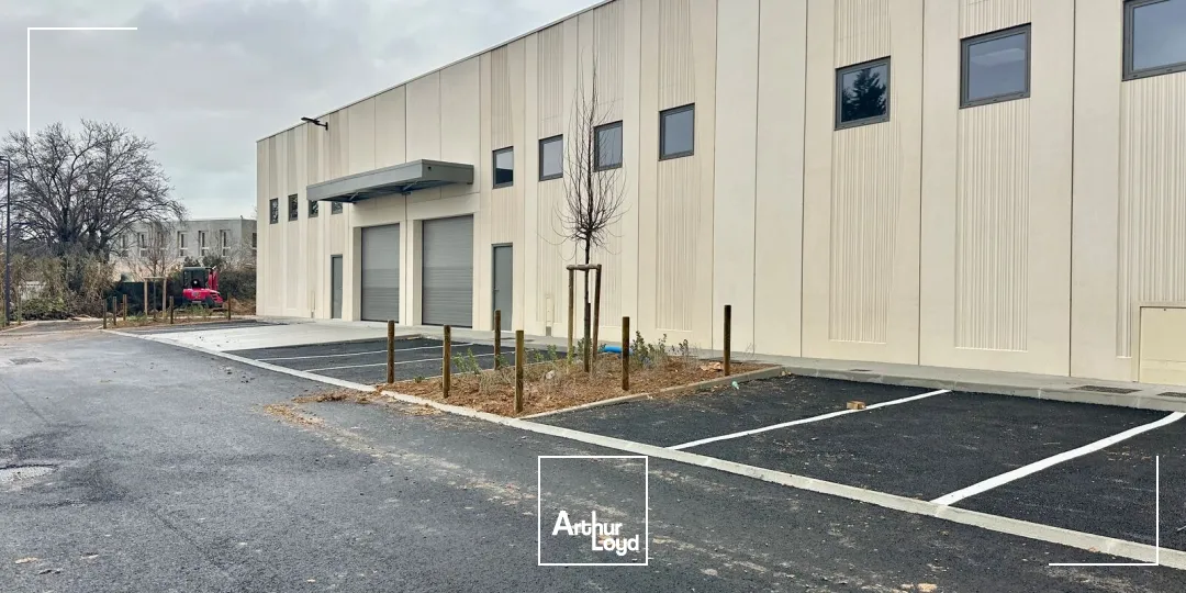 Locaux d'activité & Entrepôts - Location - LES PENNES MIRABEAU - 13170 - 202-205 - 7659018