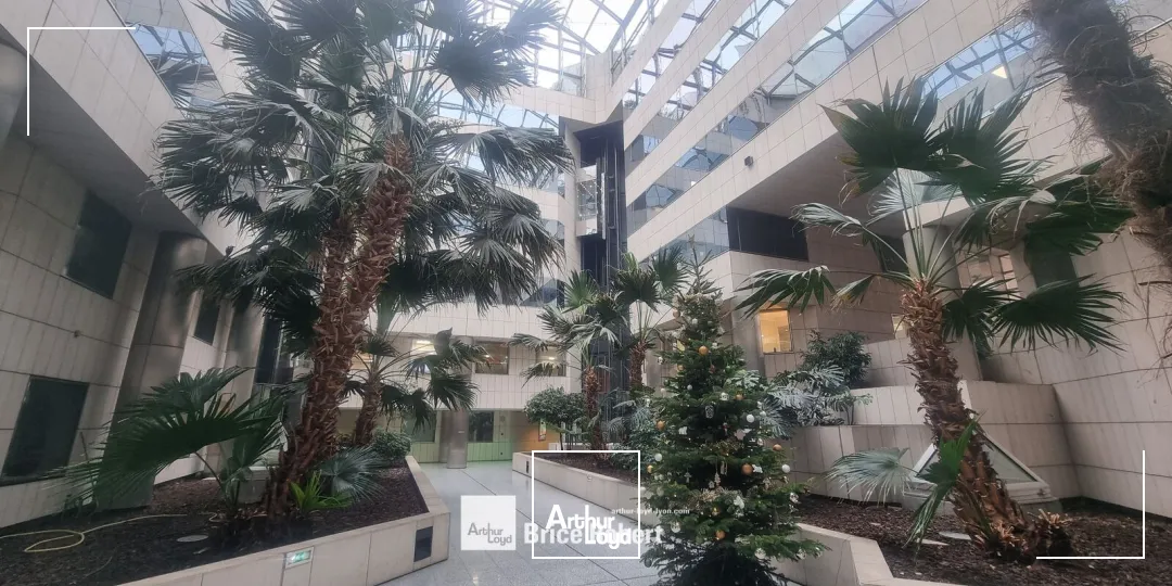 Bureaux - Location - LYON - 69006 - 1054-1054 - 7660200