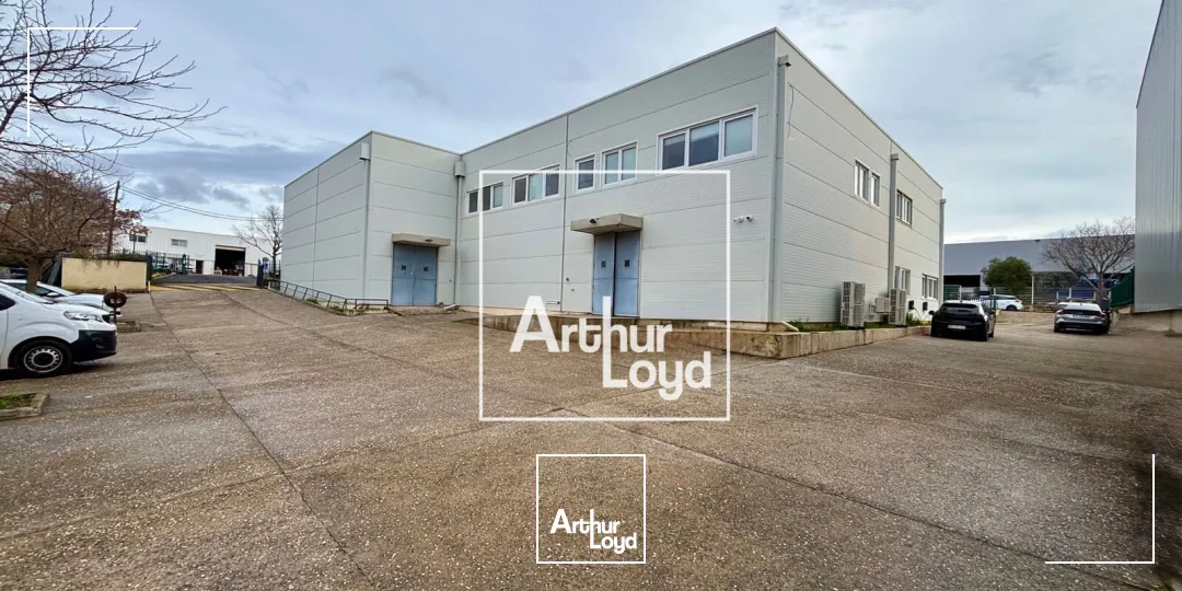 Bureaux - Location - SAINT JEAN DE VEDAS - 34430 - 600-600 - 7660844