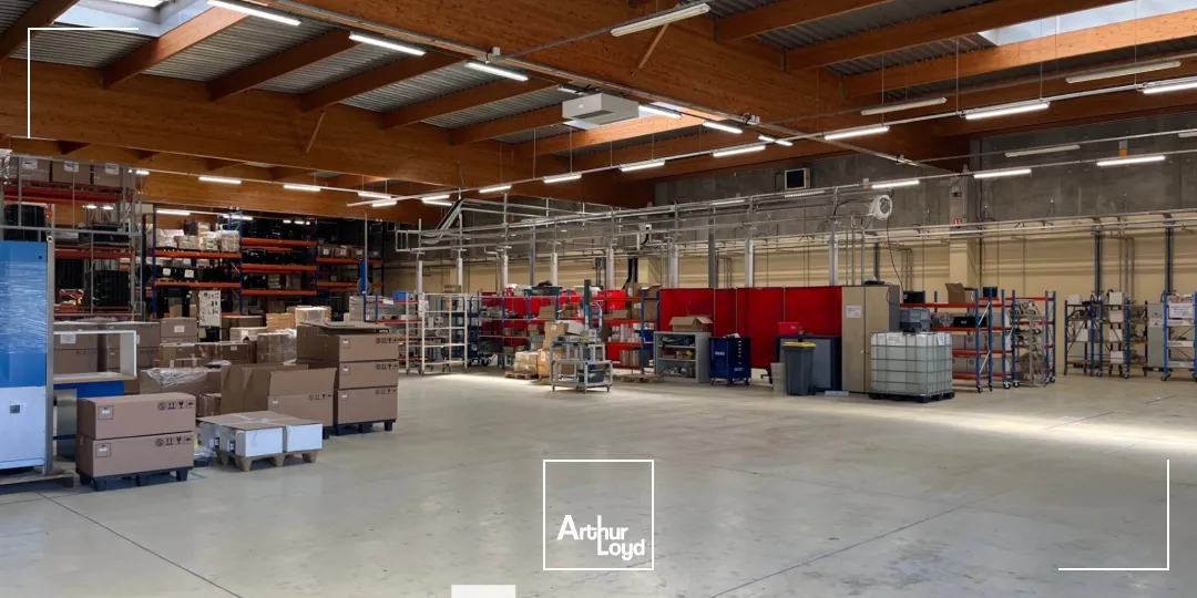 Locaux d'activité & Entrepôts - Location - DECINES CHARPIEU - 69150 - 3804-3804 - 7661388