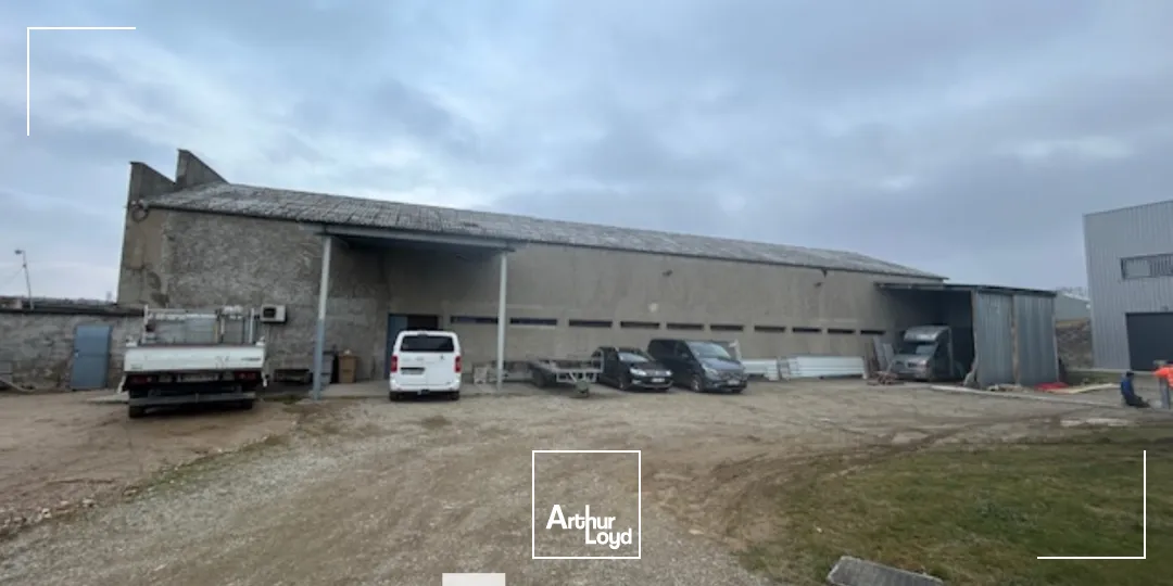 Locaux d'activité & Entrepôts - Location - VILLEURBANNE - 69100 - 2000-2000 - 7661556