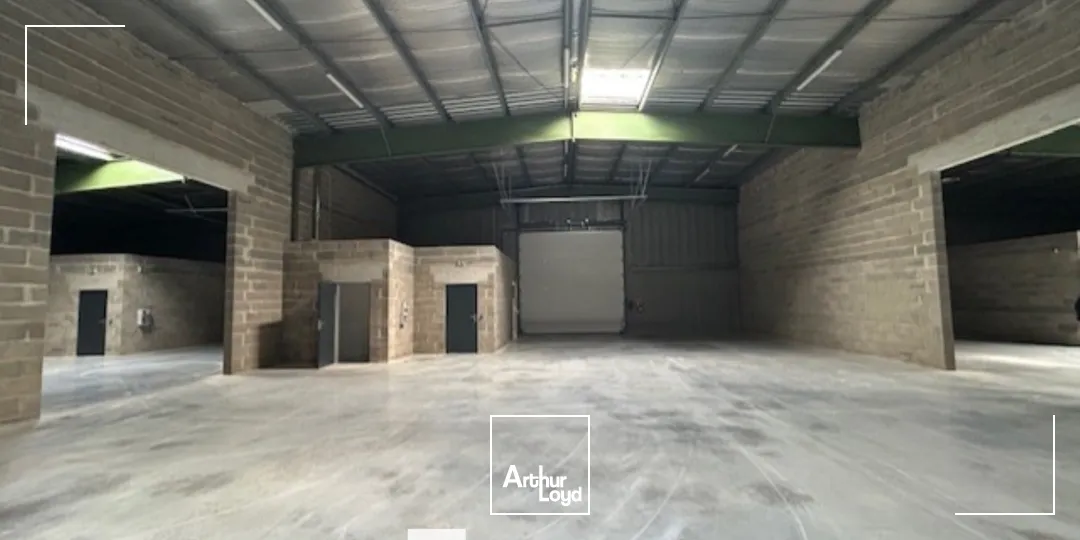 Locaux d'activité & Entrepôts - Location - GENAS - 69740 - 336-1013 - 7661655