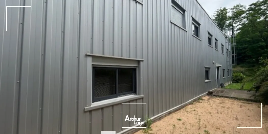 Locaux d'activité & Entrepôts - Vente - LOZANNE - 69380 - 465-465 - 7661767