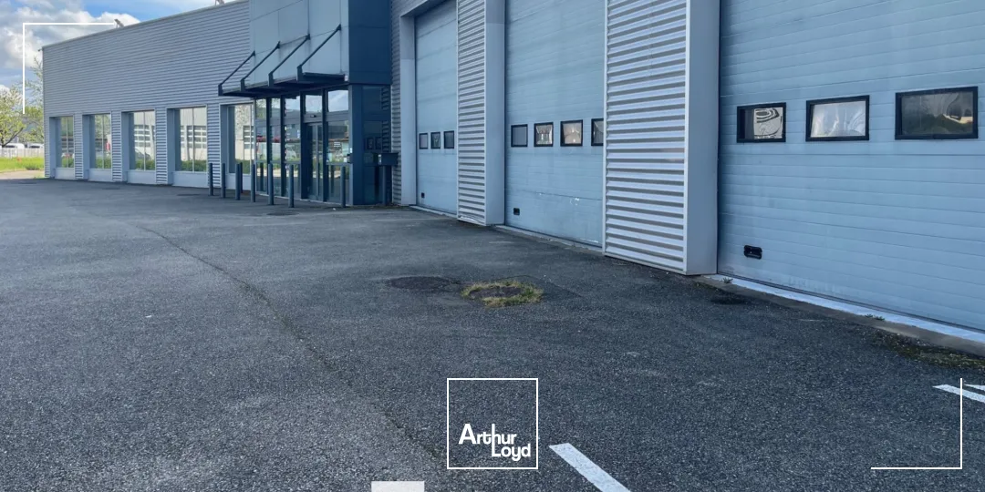 Locaux d'activité & Entrepôts - Location - BOURG EN BRESSE - 01000 - 1001.18-1001.18 - 7661803