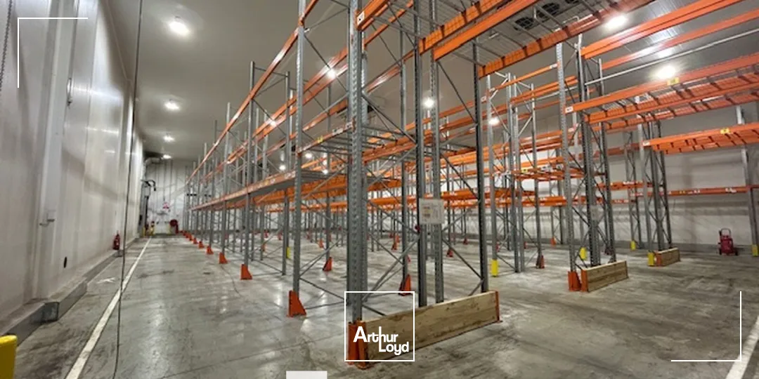 Locaux d'activité & Entrepôts - Location - CORBAS - 69960 - 7064-7064 - 7661865