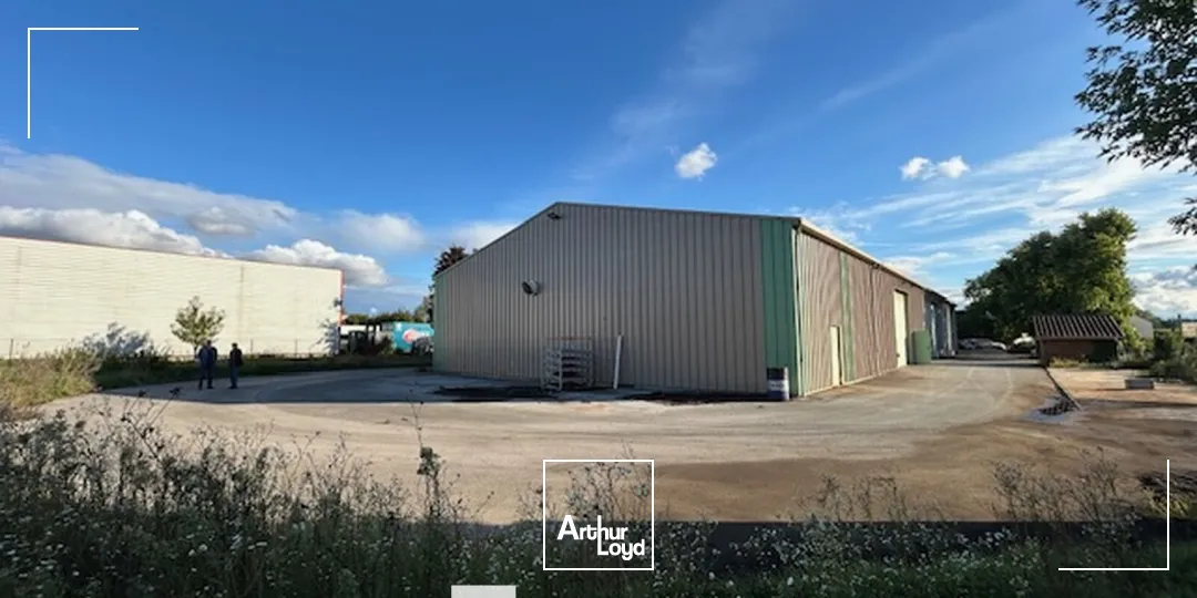 Locaux d'activité & Entrepôts - Location - TREVOUX - 01600 - 1169-1169 - 7661884