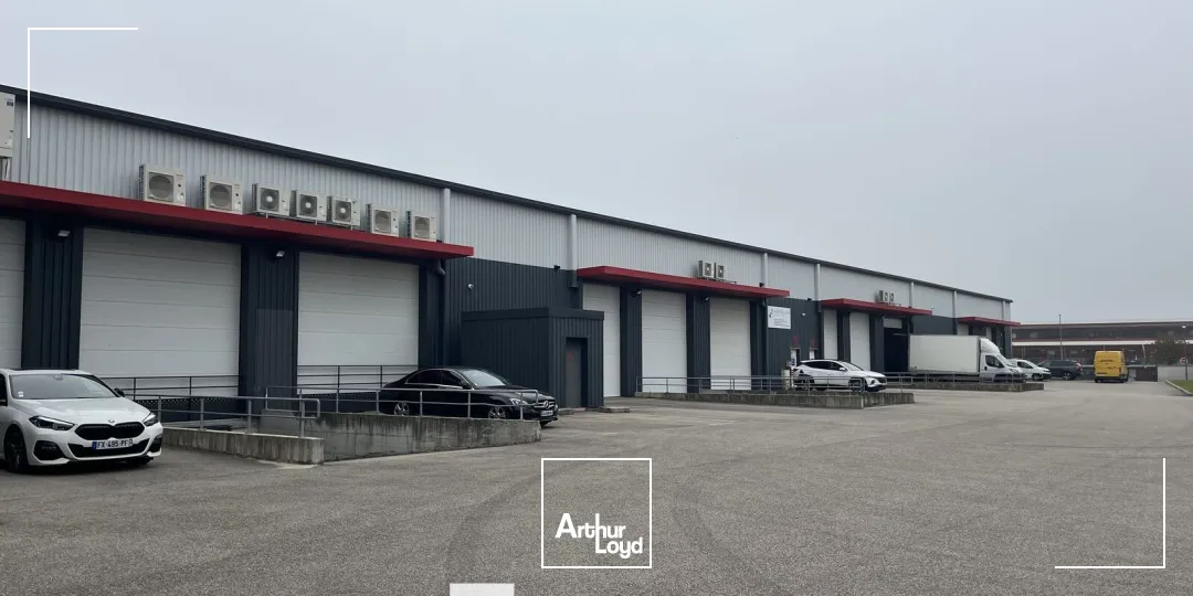 Locaux d'activité & Entrepôts - Location - SAINT QUENTIN FALLAVIER - 38070 - 226-567 - 7661910