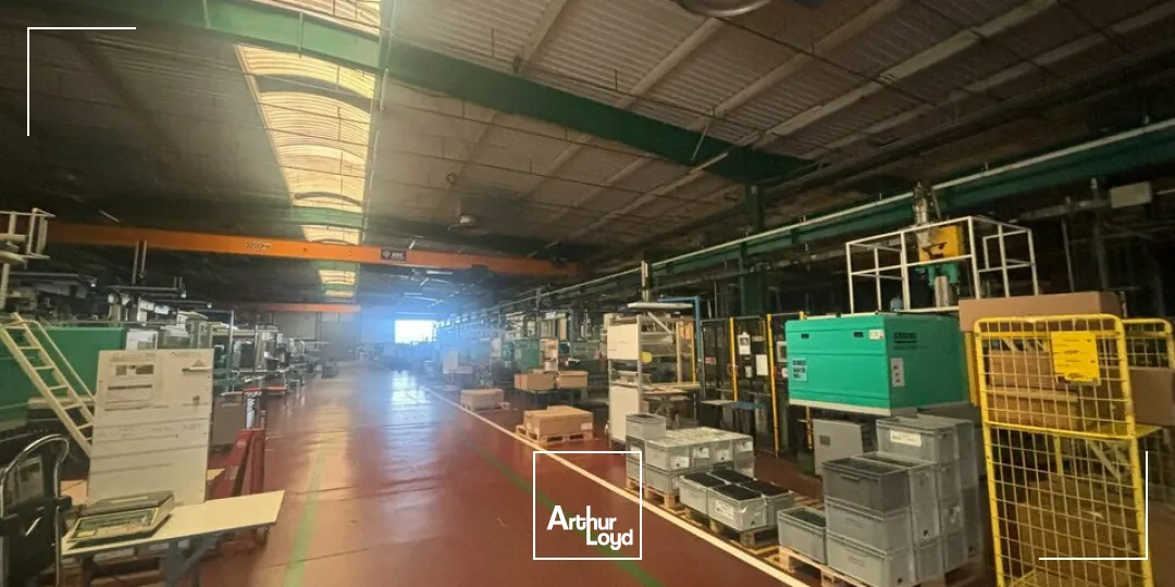 Locaux d'activité & Entrepôts - Vente - AIZENAY - 85190 - 7200-7200 - 7662737