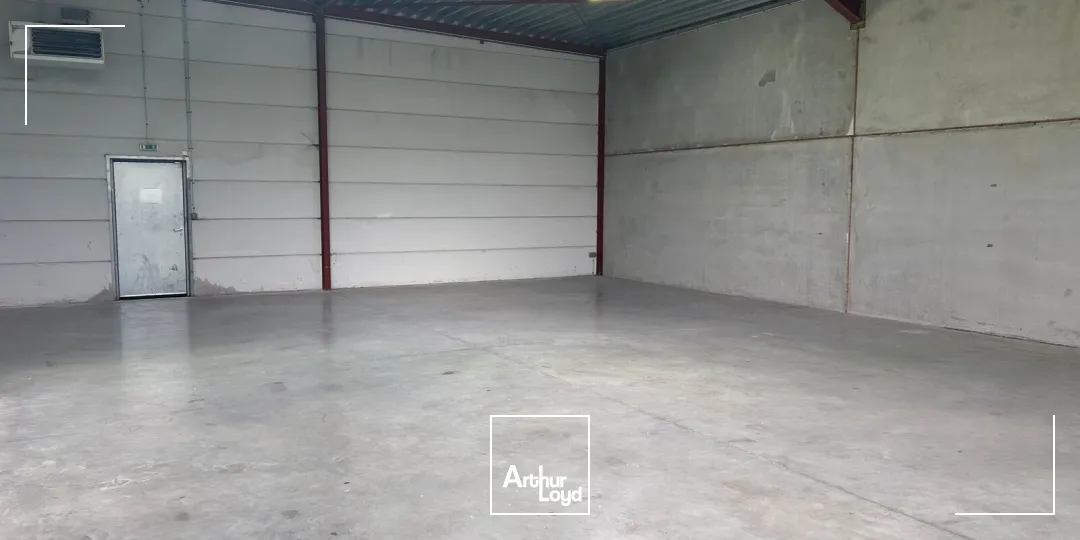 Locaux d'activité & Entrepôts - Location - SECLIN - 59113 - 384-384 - 7663265