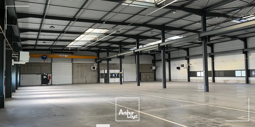 Locaux d'activité & Entrepôts - Location - SAINT PRIEST - 69800 - 3769-3769 - 7663649