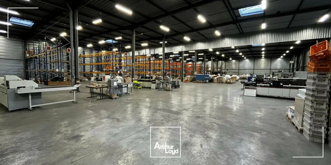 Locaux d'activité & Entrepôts - Location - ILLKIRCH-GRAFFENSTADEN - 67400 - 2655-2655 - 7664238