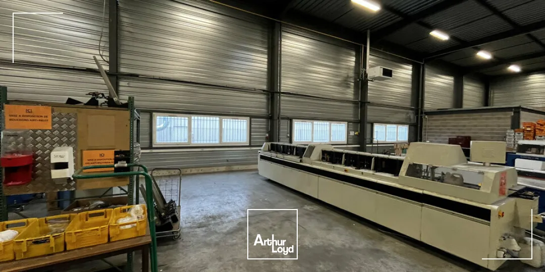 Locaux d'activité & Entrepôts - Location - ILLKIRCH-GRAFFENSTADEN - 67400 - 2655-2655 - 7664244