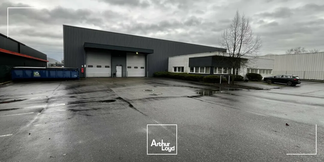 Locaux d'activité & Entrepôts - Location - ILLKIRCH-GRAFFENSTADEN - 67400 - 2655-2655 - 7664247