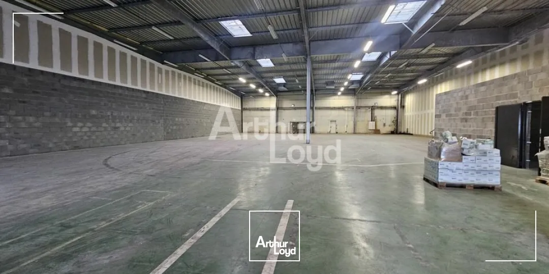 Locaux d'activité & Entrepôts - Location - SAINT-BARTHÉLEMY-D'ANJOU - 49124 - 1285-1285 - 7664344