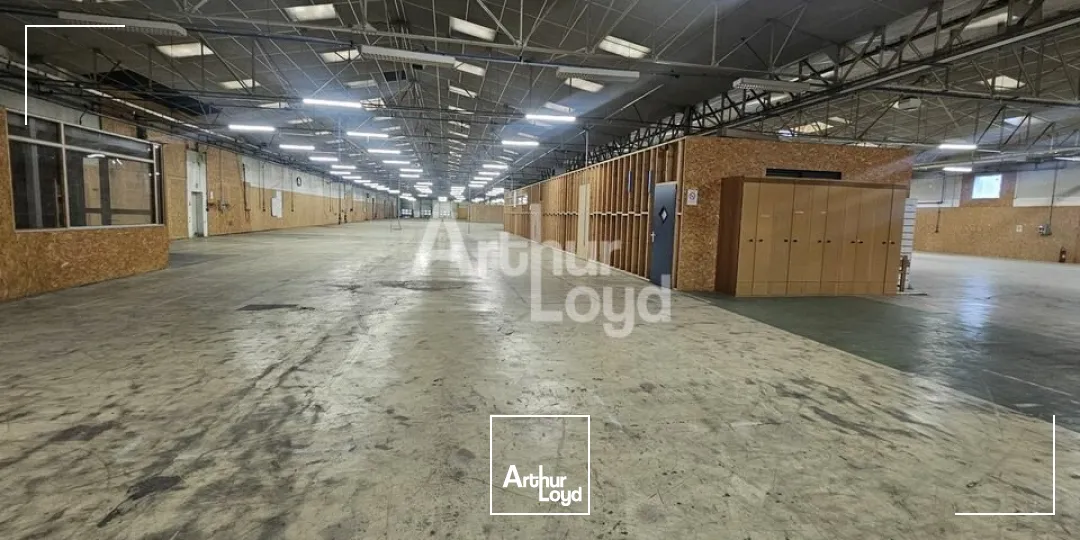 Locaux d'activité & Entrepôts - Location - SAINT-BARTHÉLEMY-D'ANJOU - 49124 - 6100-6100 - 7664342