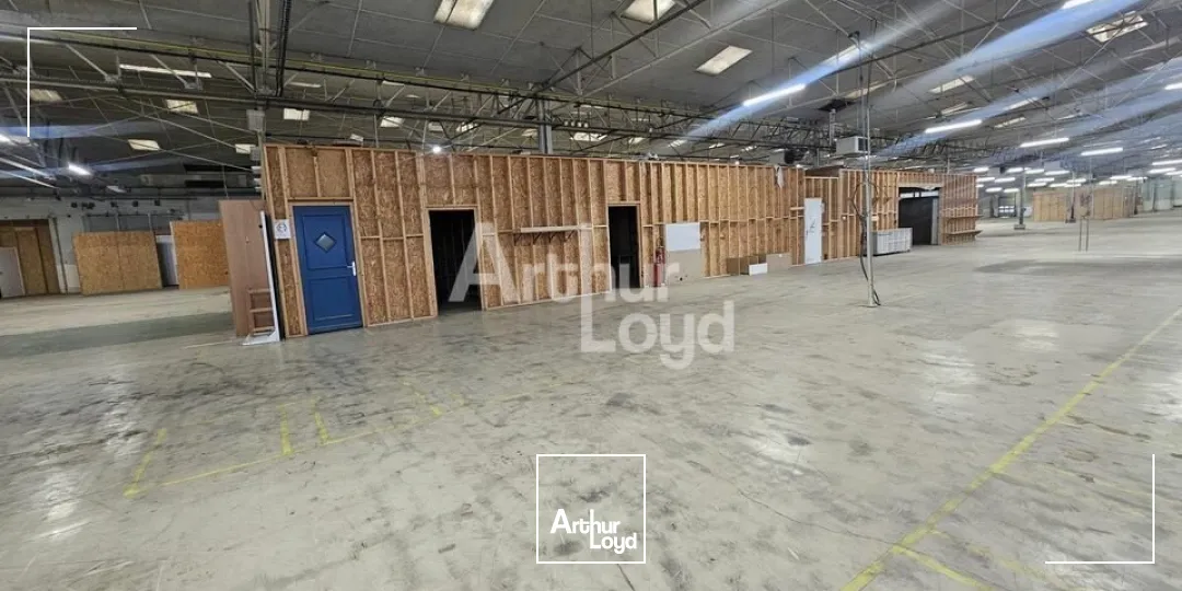 Locaux d'activité & Entrepôts - Location - SAINT-BARTHÉLEMY-D'ANJOU - 49124 - 6100-6100 - 7664343