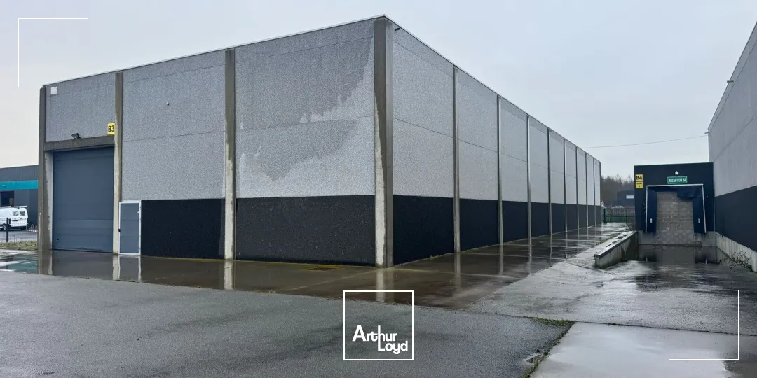 Locaux d'activité & Entrepôts - Vente - CYSOING - 59830 - 1040-1040 - 7664667